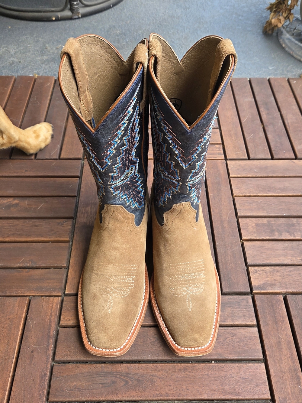 Ariat: Men’s Futurity Showman Dijon Roughout Navy Western Boot - Picture 4 of 8